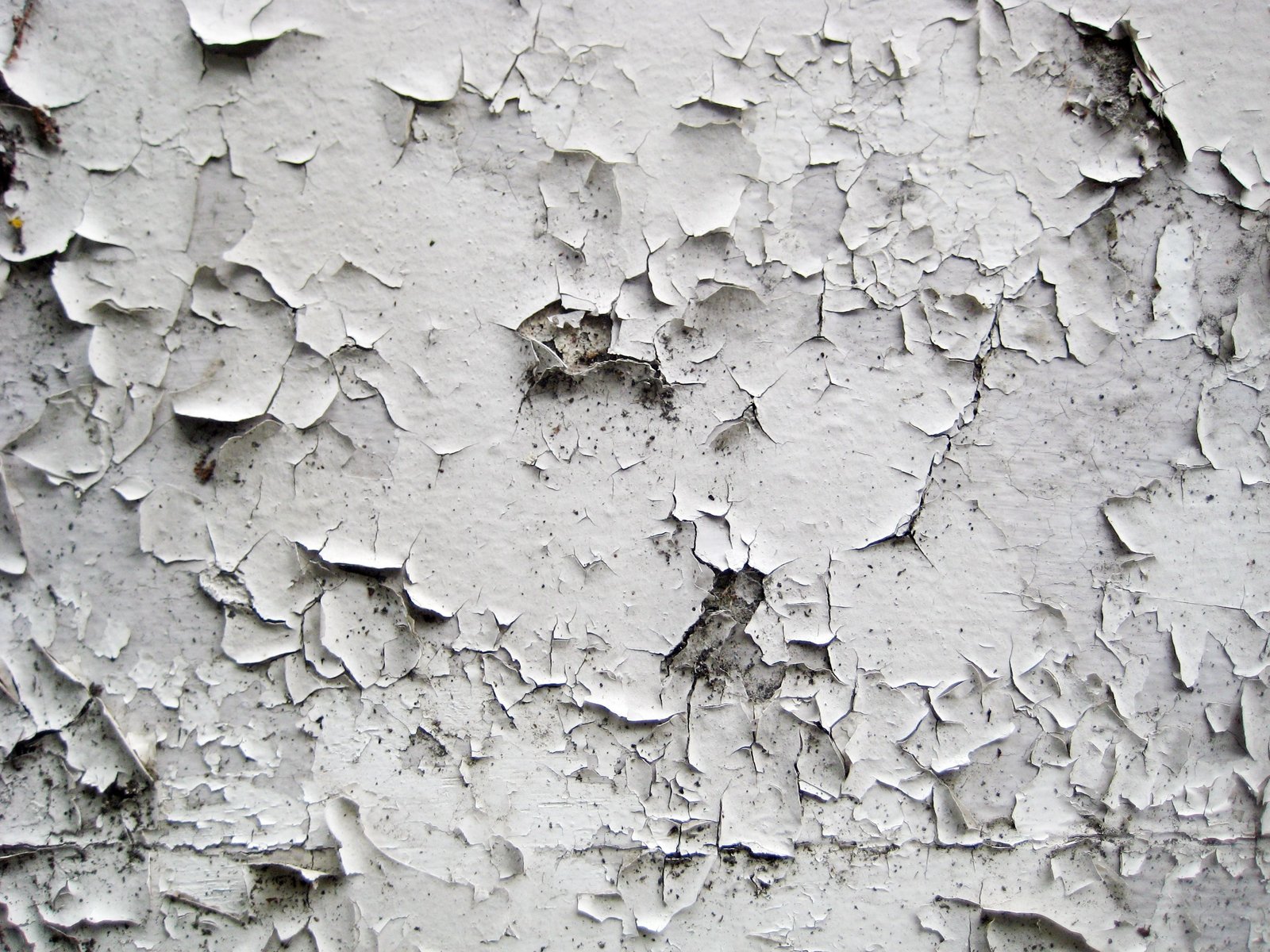 Internal Wall Waterproofing